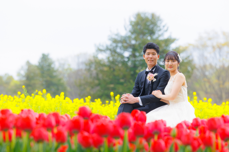 見頃のチューリップ