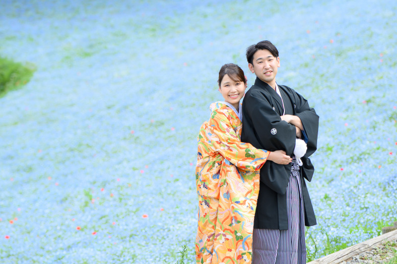 ネモフィラ満開