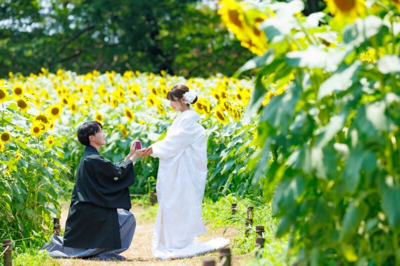 ≪ お花畑でプロポーズ ≫