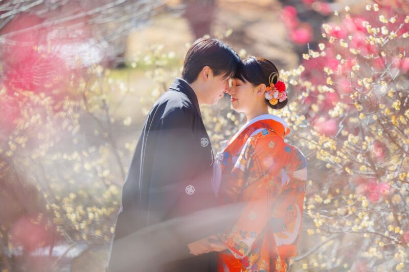 ≪ 梅の花に囲まれたショット≫