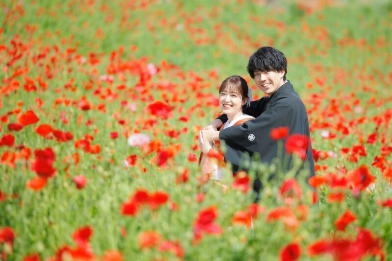 ≪一面に咲くポピーと≫