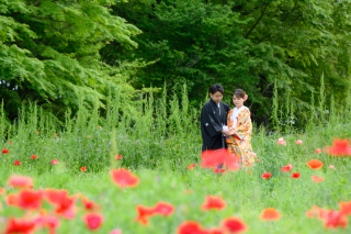 和装弐点プラン