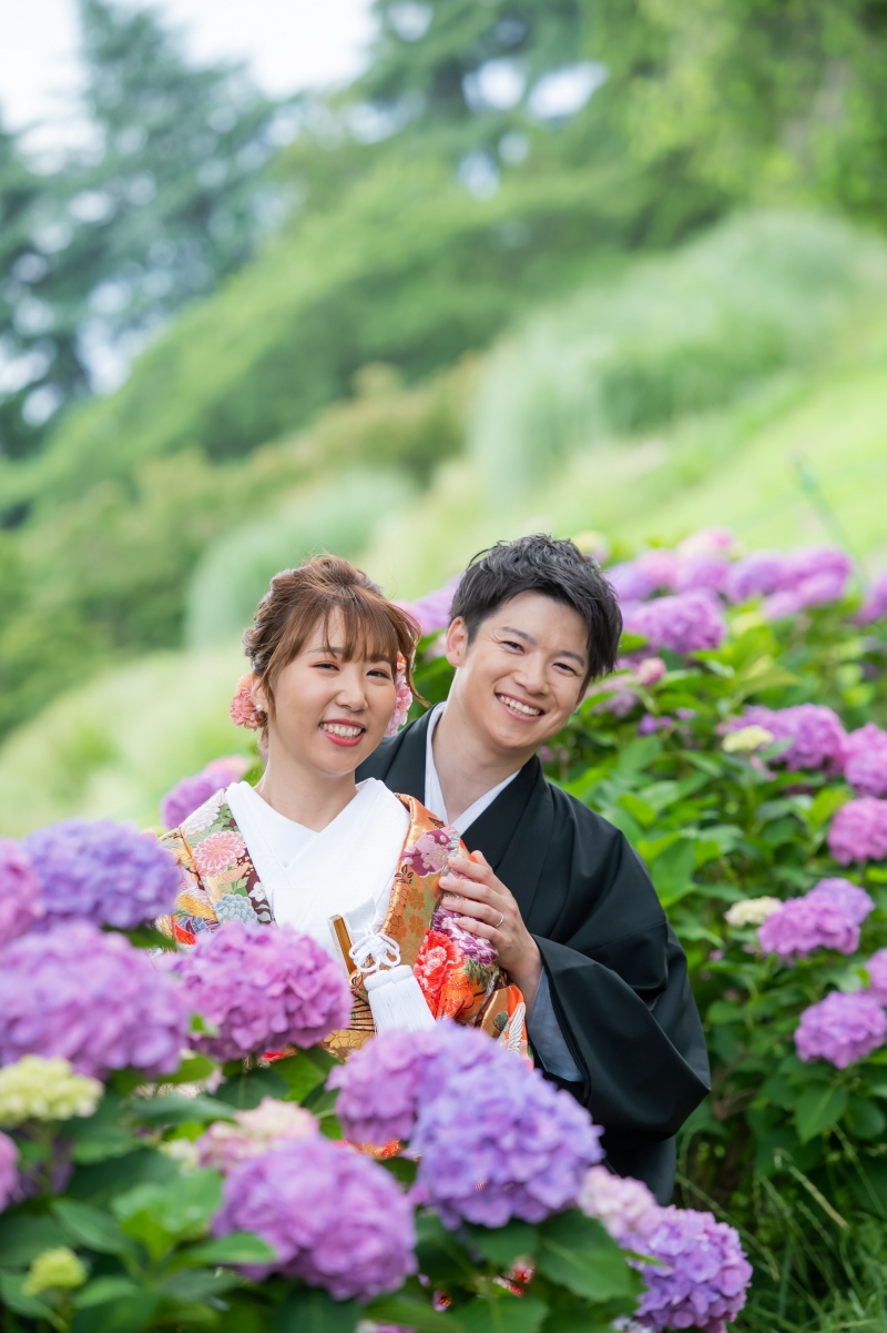 紫陽花が綺麗に咲いていました♪