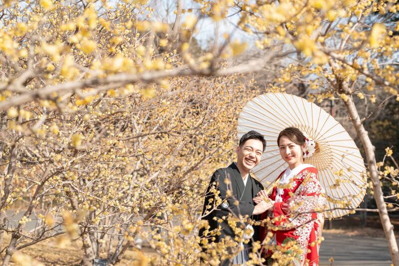 ≪ 2月中旬は蝋梅 ≫