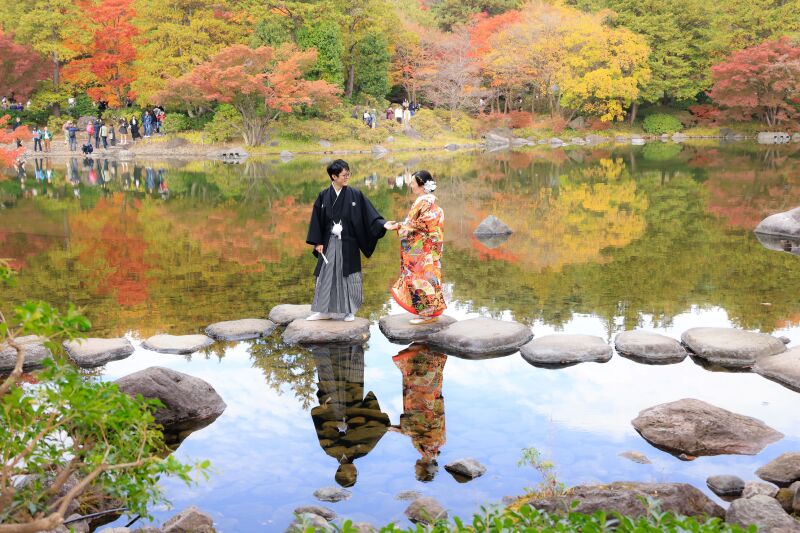 希望cutの支持率高めcut