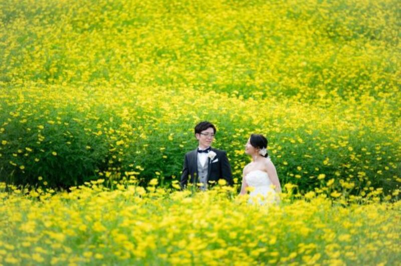 コスモスに包まれて