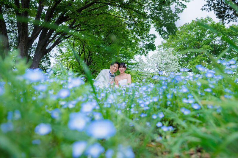 季節の花も撮影