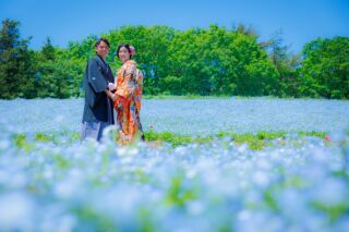 4月＆5月はネモフィラ×和装撮影♡