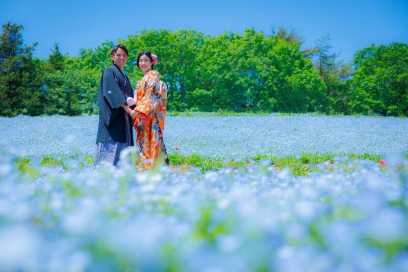 4月&5月はネモフィラ×和装撮影♡