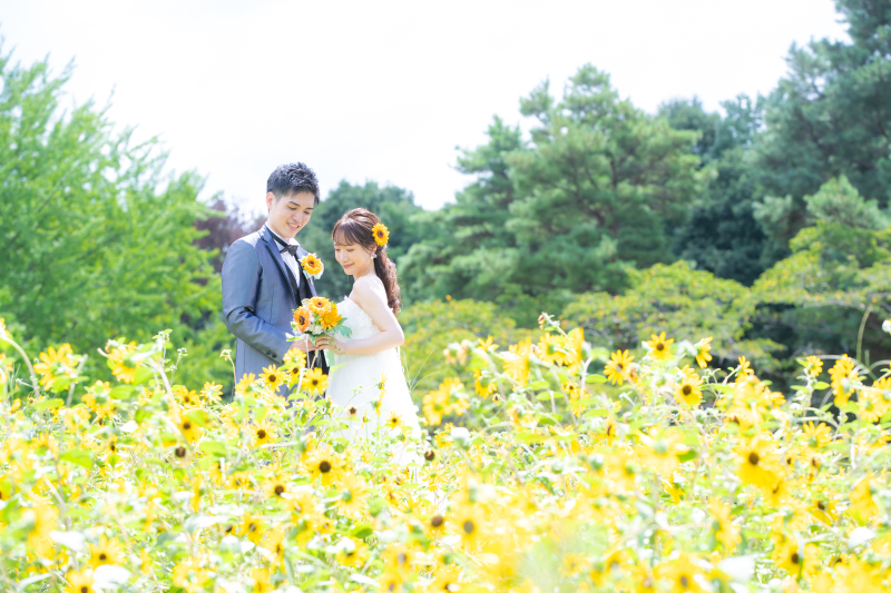 《 サンフィニティ 》