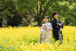 4/12　和装で菜の花＊洋装でスタジオフォト