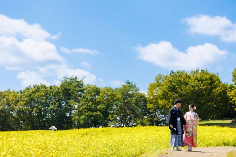 【満開のコスモス】9/7昭和記念公園で前撮り♪