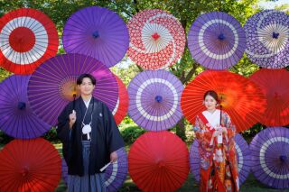 いつもと違う日本庭園