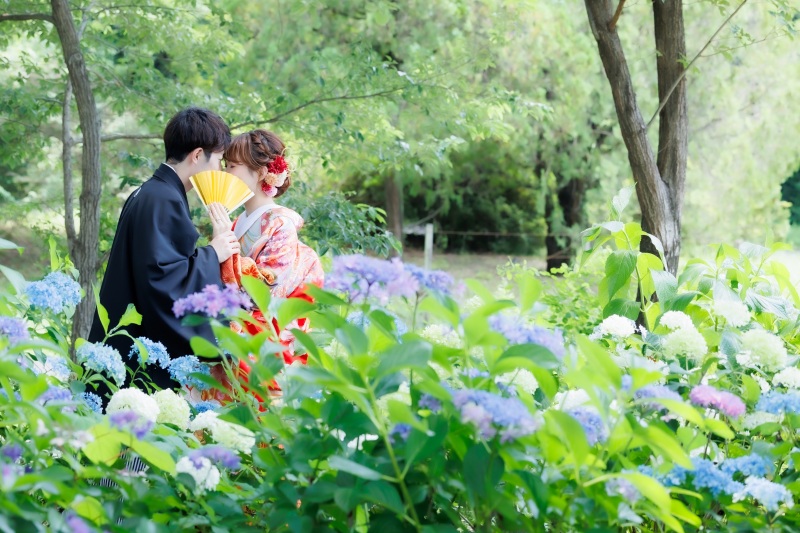 6月は紫陽花の花が咲きます