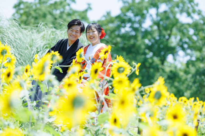 ひまわり畑で撮影