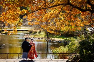 和装壱点プラン