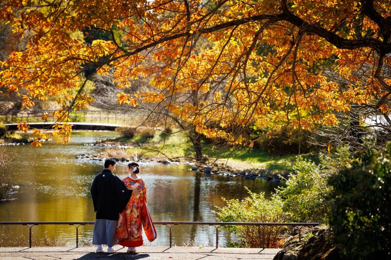 和装壱点プラン