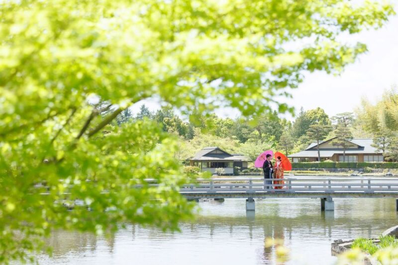 新緑輝く日本庭園