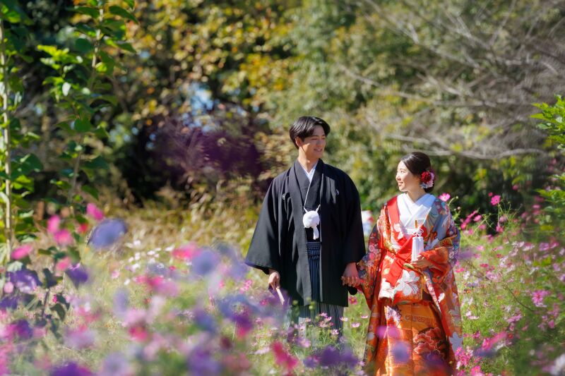 お花畑をお散歩