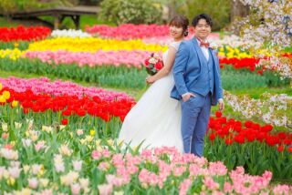 洋装ドレス♡チューリップ+スタジオ撮影