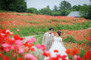 PhotoWedding ❁ ポピー＆ガーデンフォト　
