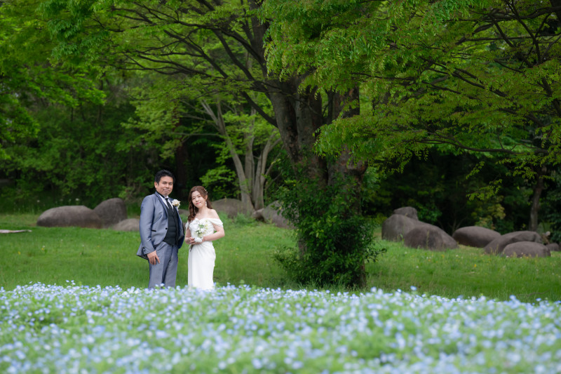 ≪ ネモフィラ ≫