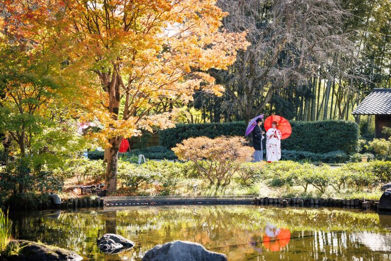 着物に合うシーズンの到来