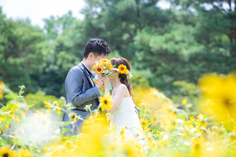 《 ひまわりとの撮影は、8月! 》