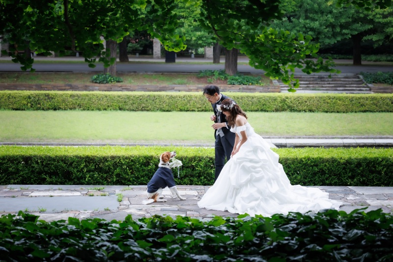 ワンちゃん!大活躍♪