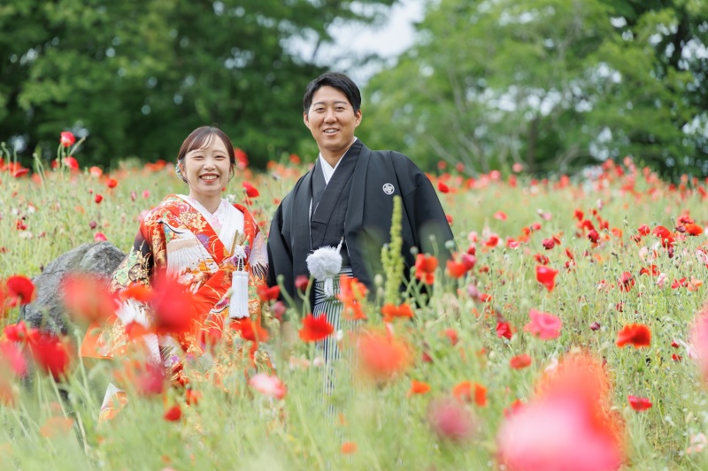 6月のポピー❀とっても綺麗
