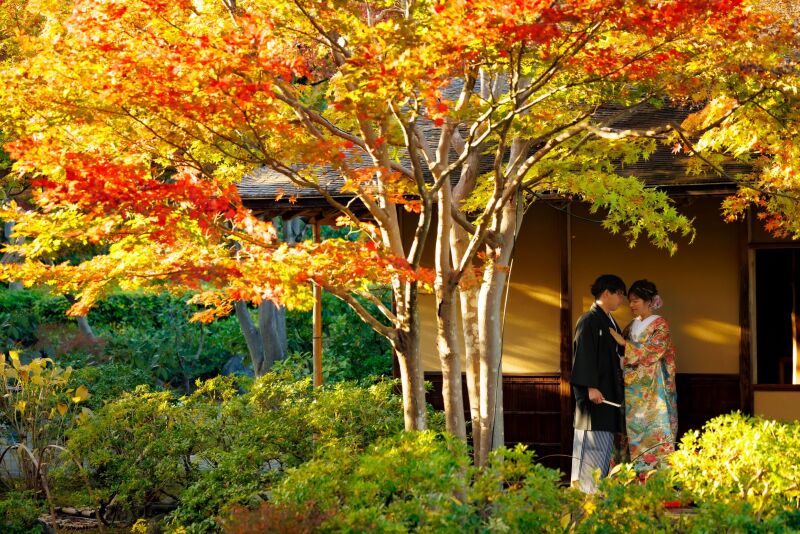 木漏れと一緒に