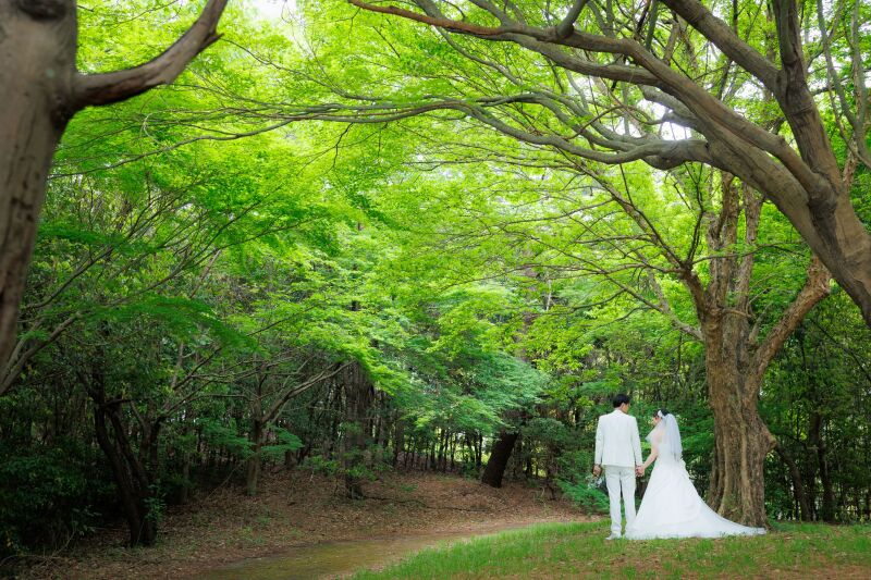 森の中を味わうことができる公園