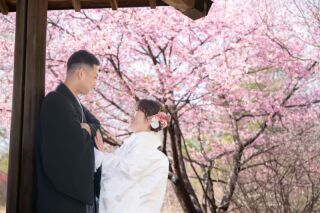 【河津桜】昭和記念公園でお花との和装撮影♡