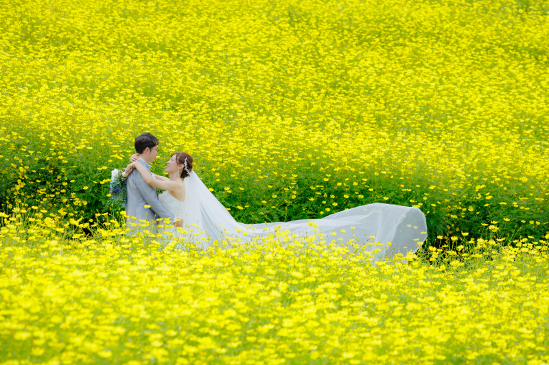 ドレスでコスモスフォト♡お花とWedding撮影♪