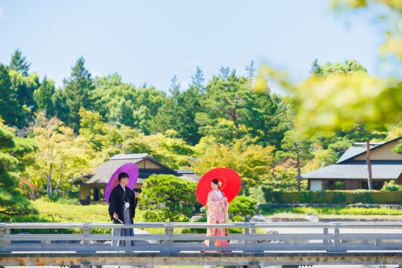 日本庭園✕番傘