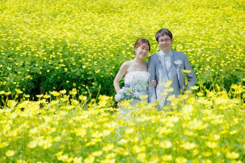 キバナコスモスに囲まれて!