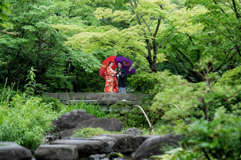 綺麗な緑の中での撮影