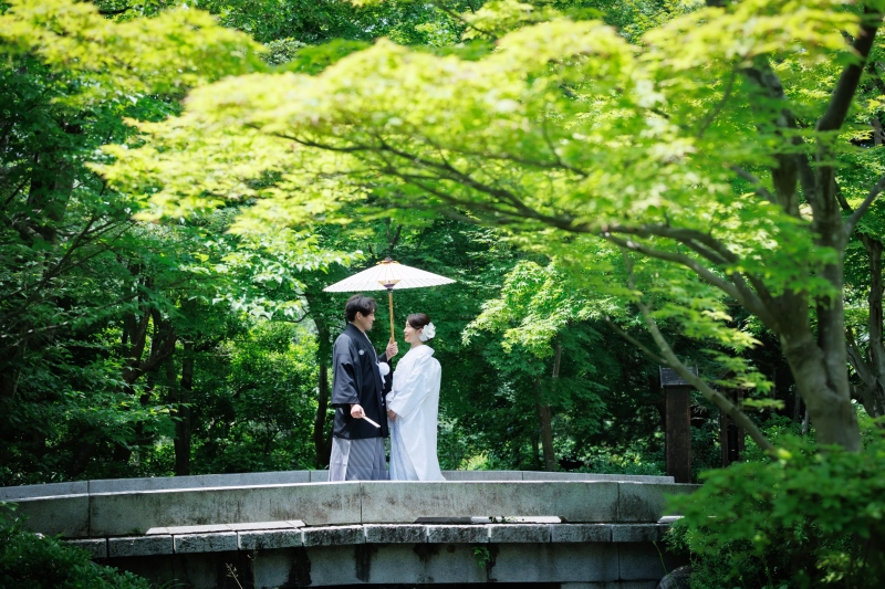 緑が綺麗な時期の撮影
