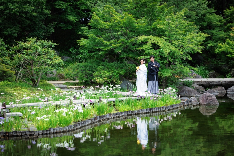 菖蒲の花も綺麗です。