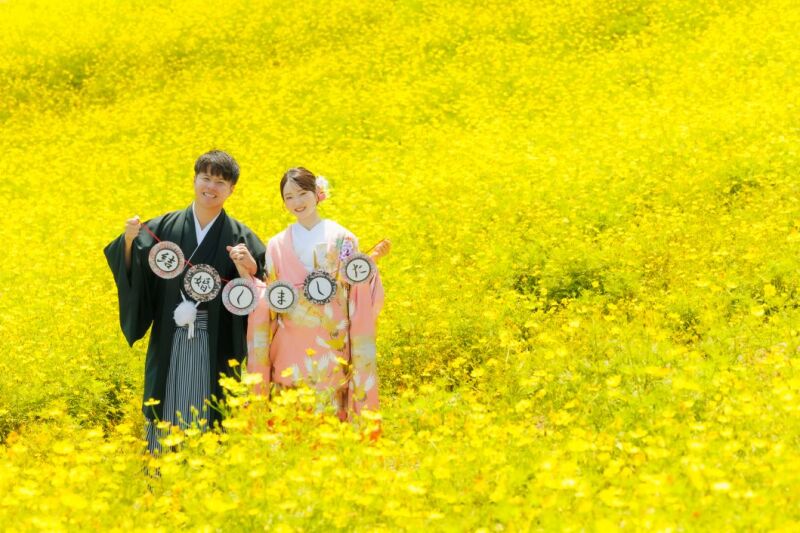 コスモスに囲まれて撮影♪