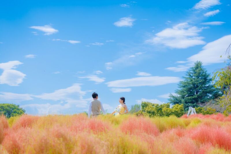 四季折々の花が咲く昭和記念公園