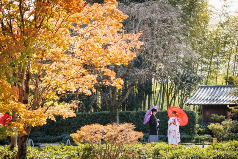 華雅苑のプランは撮影に必要な物が全部含まれています