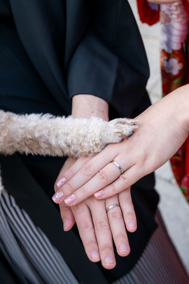 華雅苑立川店_ペットと一緒に撮影できる
