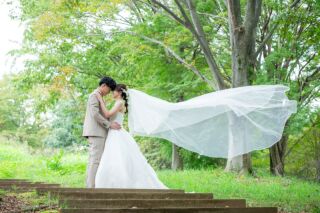 ロングベールレンタル