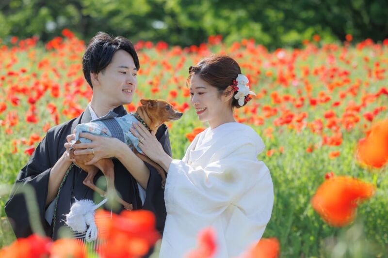 20以上ある撮影シーン