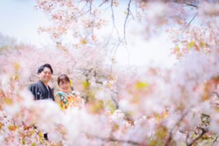 華雅苑立川店_【 和装 】３月４月　桜・チューリップ・菜の花