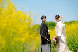 華雅苑立川店_【 和装 】３月４月　桜・チューリップ・菜の花