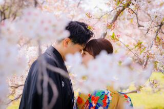 華雅苑立川店_【 和装 】３月４月　桜・チューリップ・菜の花