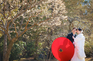 華雅苑立川店_【 和装 】1月～3月上旬　梅・菜の花・河津