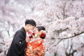 華雅苑立川店_【 和装 】３月４月　桜・チューリップ・菜の花